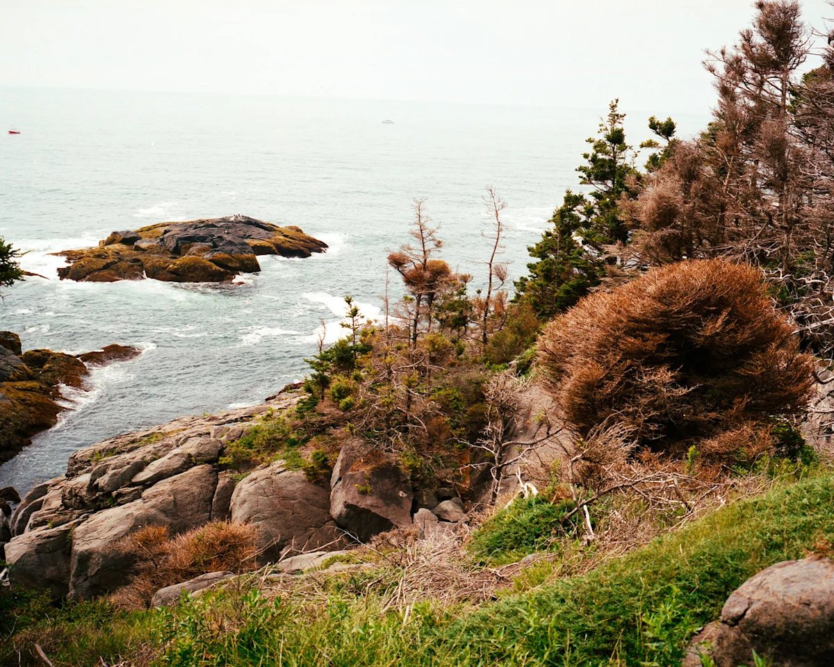 matt-steindl-monhegan-island-10