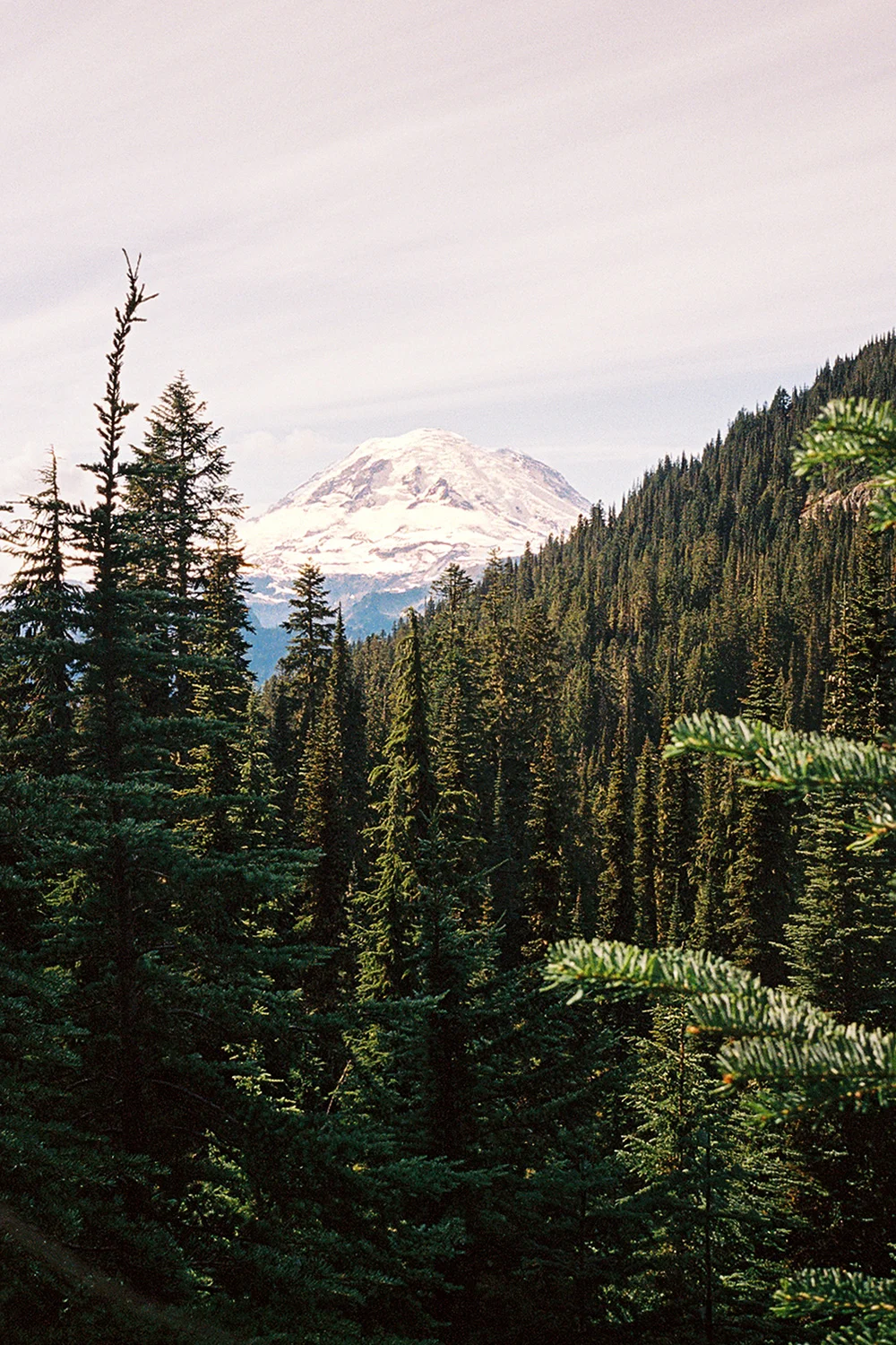 Hiemstra-Hike-Rainier