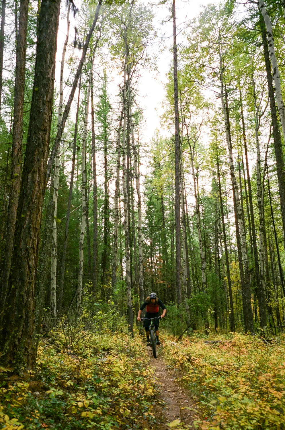 Sweetin-Fernie-MTB-7