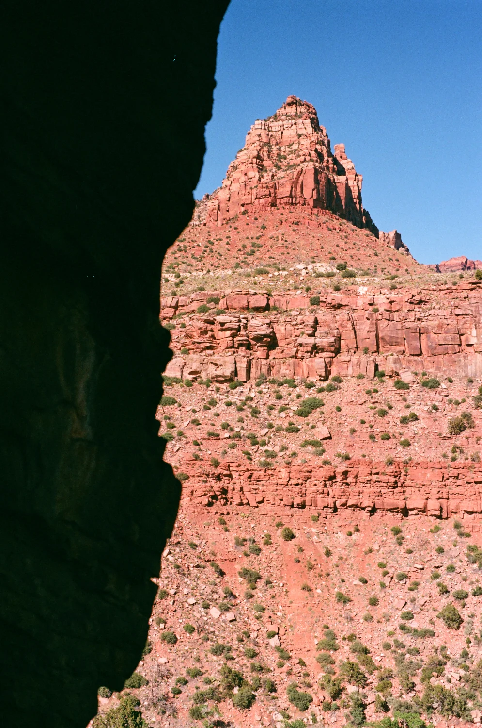 linnea-bullion-zion-road-trip-7