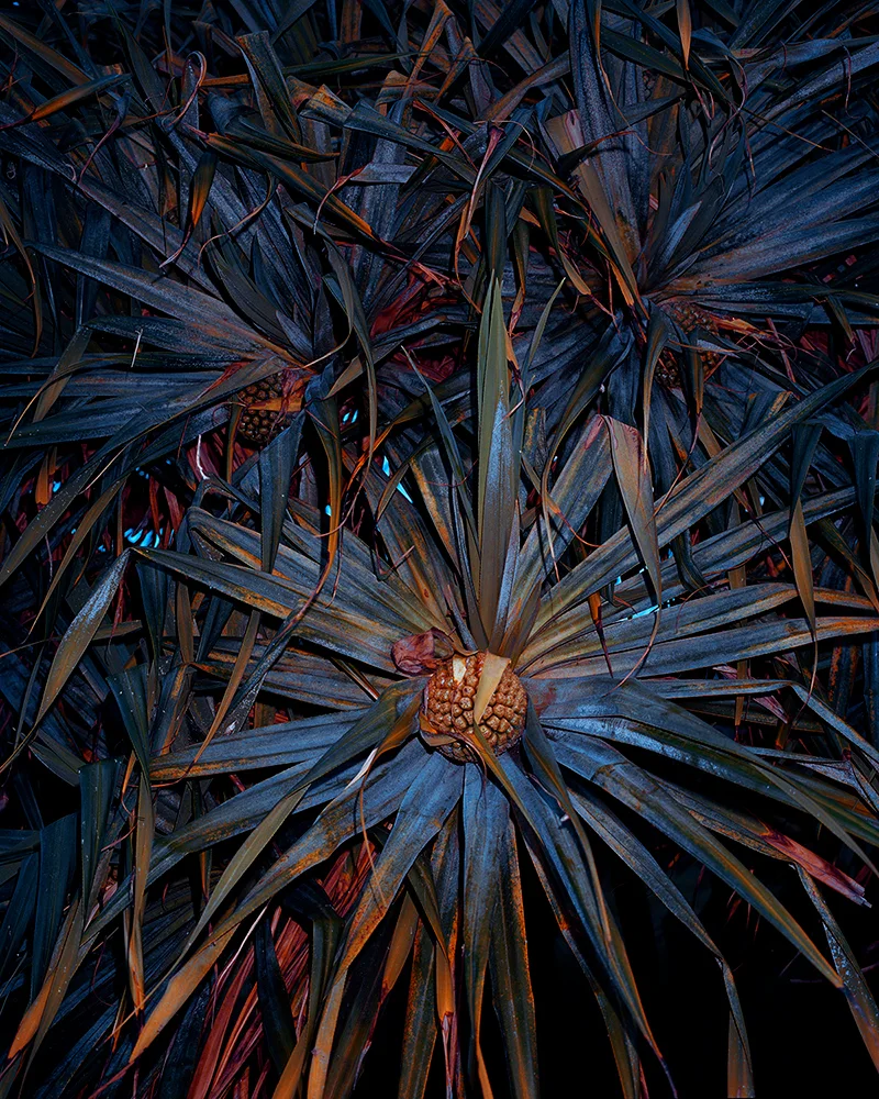 Brendan-George-Ko-Photo-6B-Lauhala-Pattern