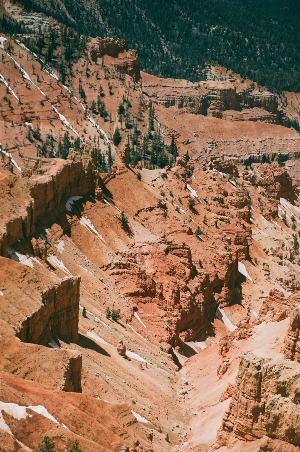 linnea-bullion-zion-road-trip-28