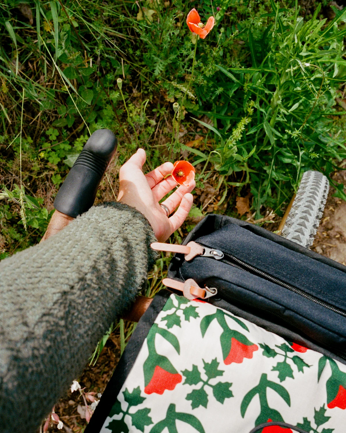 matt-steindl-alt-cycling-flower