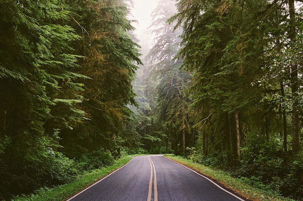 4,500 Miles of Open Road Therapy 