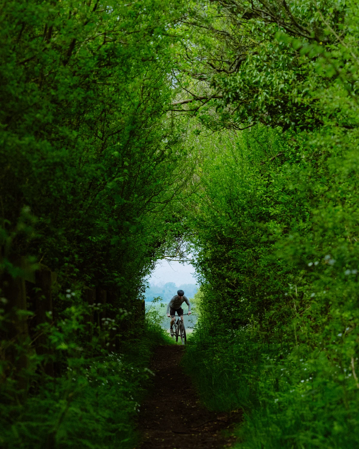 portal-brand-interview-biking-in-forest-vertical