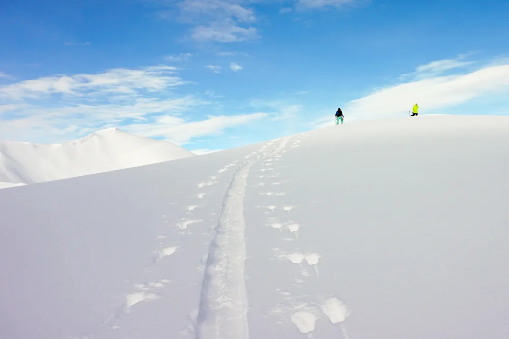 Seven Days in Powder Heaven
