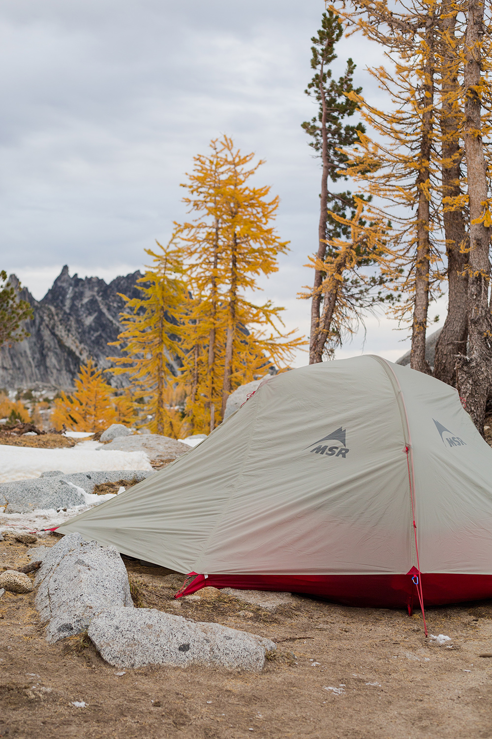 Best Tent for Backpacking - MSR FreeLite 3 Review | Field Mag