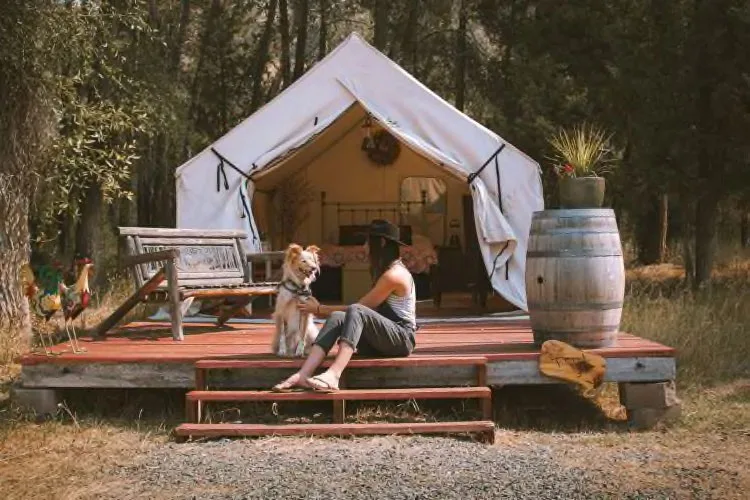 glamping-montana-norweigan-wood-ranch-lifystyle
