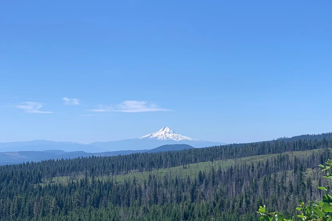 Getaway-House-Portland-Mt-Hood-1