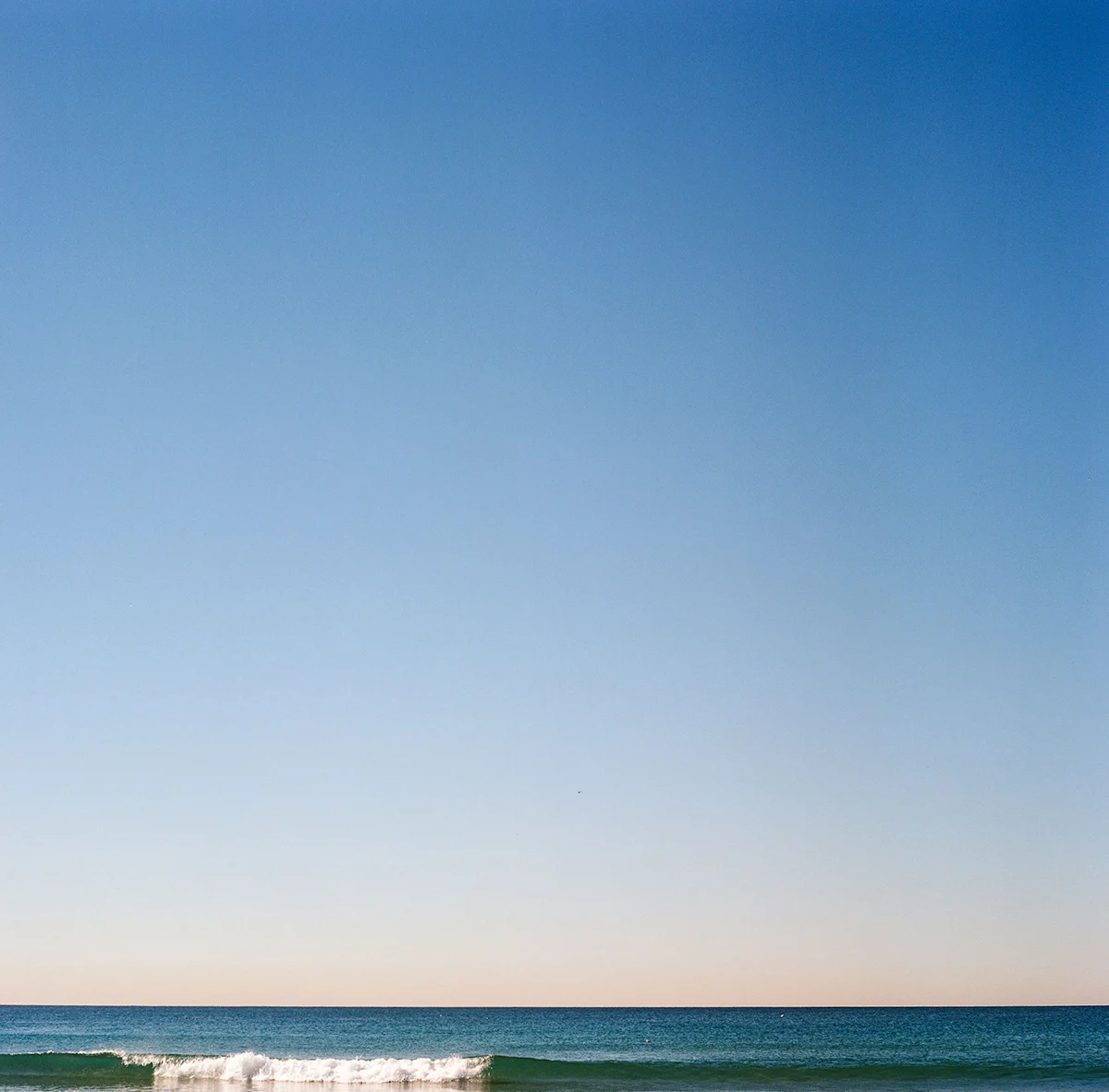 Ethan-Covey-Cali-Sq5-35mm-Fieldmag