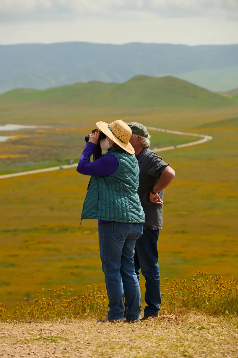 linnea-bullion-carrizo-plain-superbloom-6