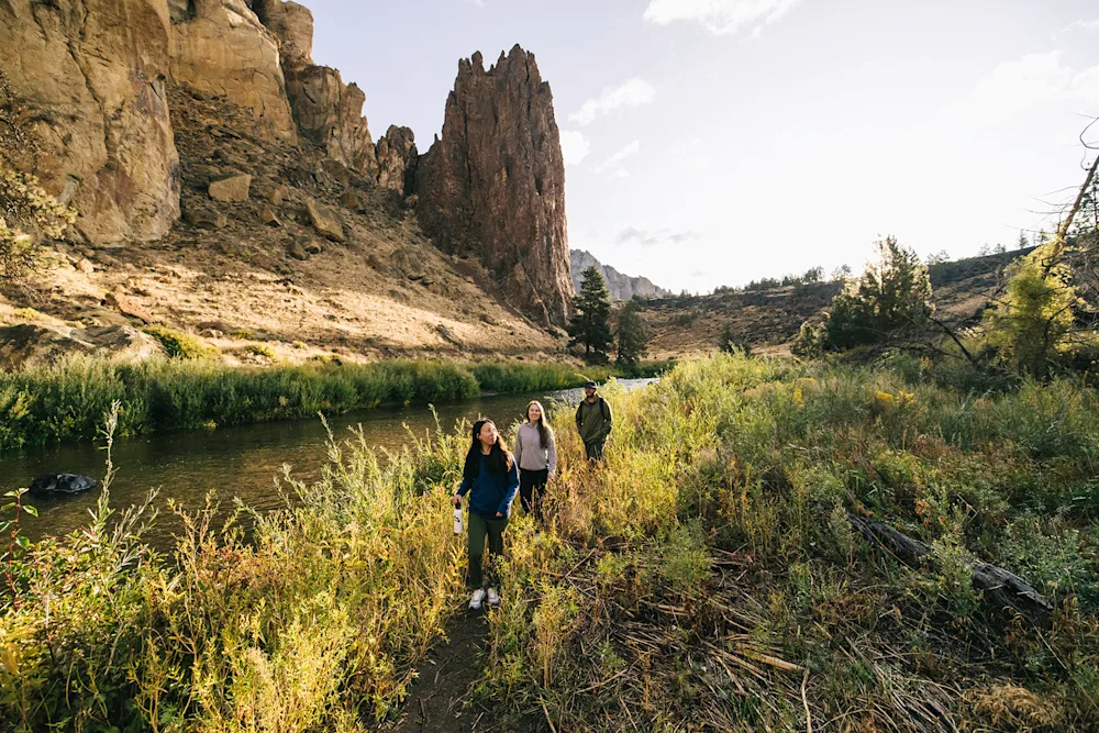 Go Hiking This Weekend and AllTrails Will Plant a Tree For You