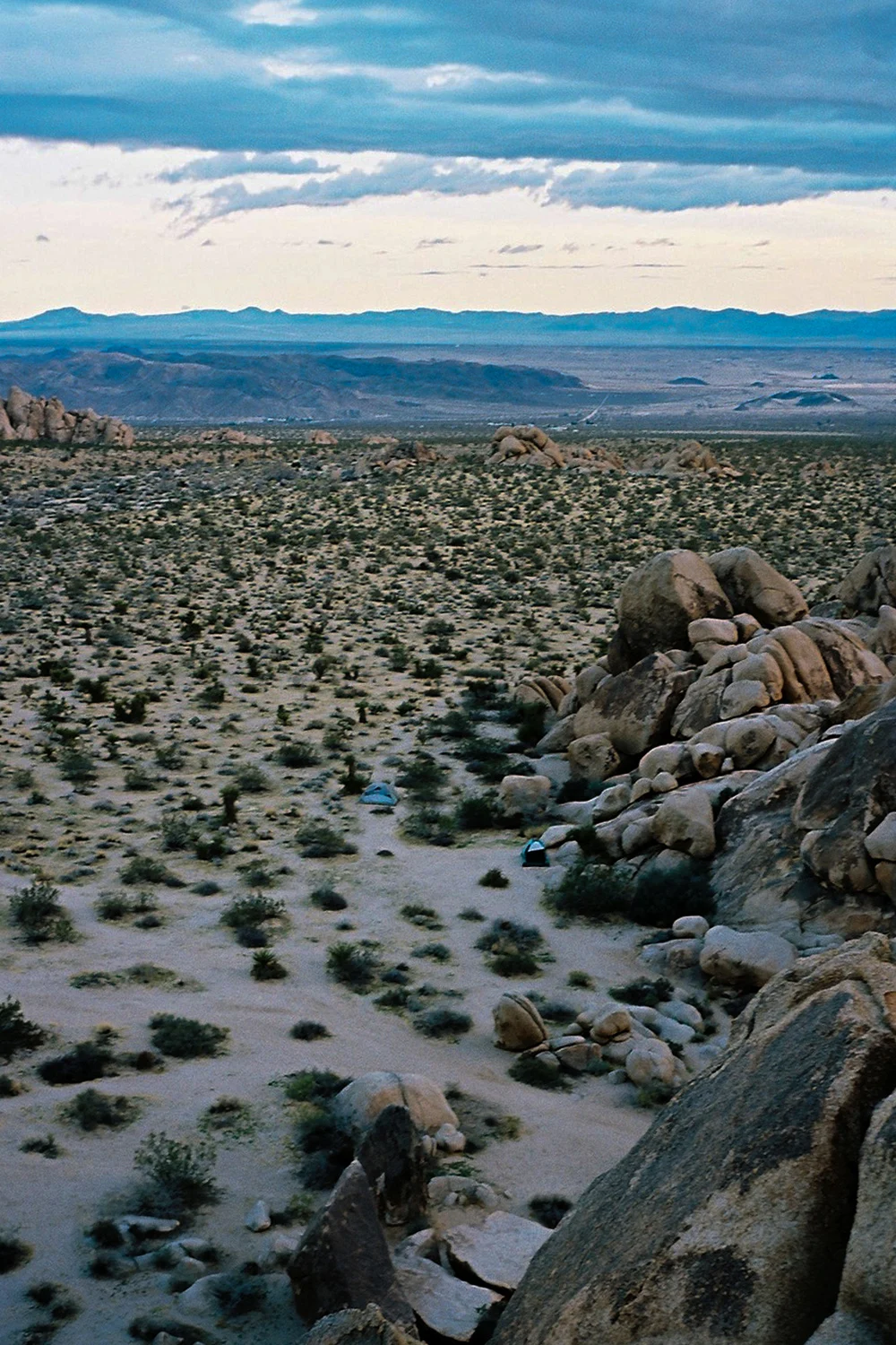 GH-JoshuaTree-23