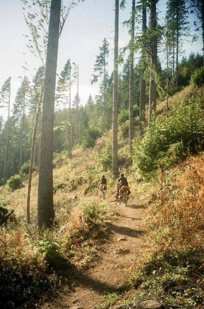 Brandon-Herrell-Bikepacking-Tips-Trail