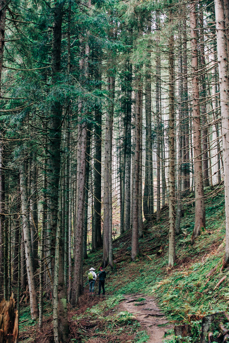 Austria's Salzburg Hiking Route Delivers Alps-Like Peaks Without the Crowds