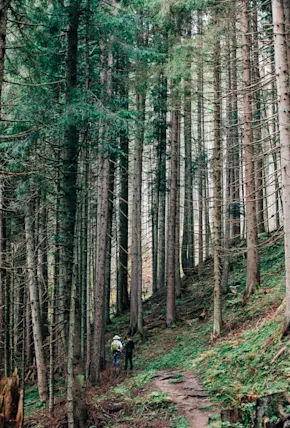 Austria's Salzburg Hiking Route Delivers Alps-Like Peaks Without the Crowds