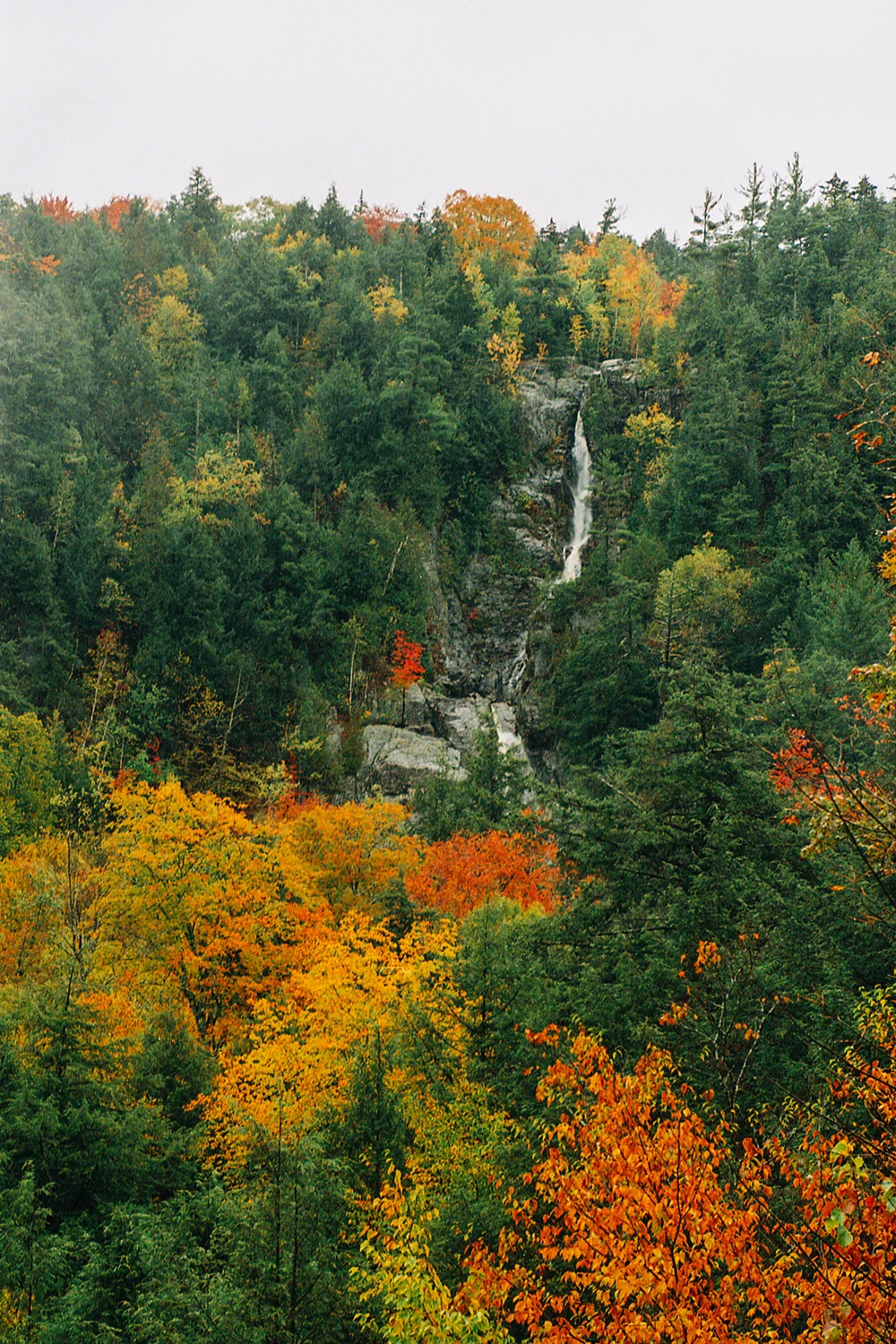 Sean-Madden-Adirondacks-2