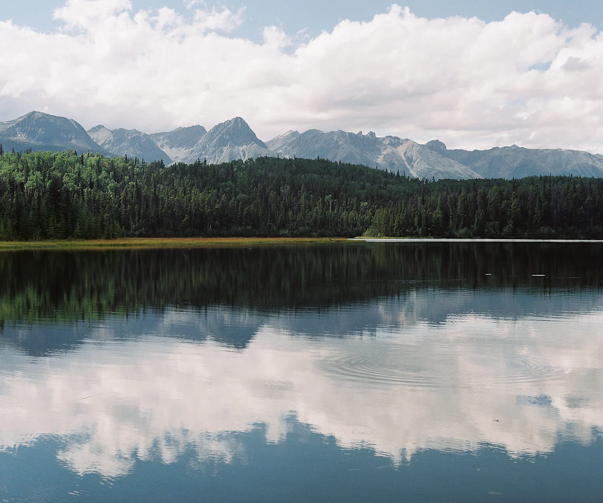 taylor-burk-muskwa-kechika-3