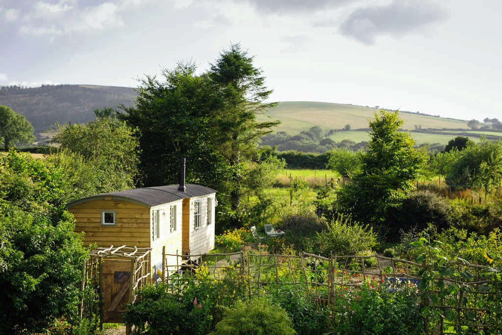 glamping-wales-damselfly-hut