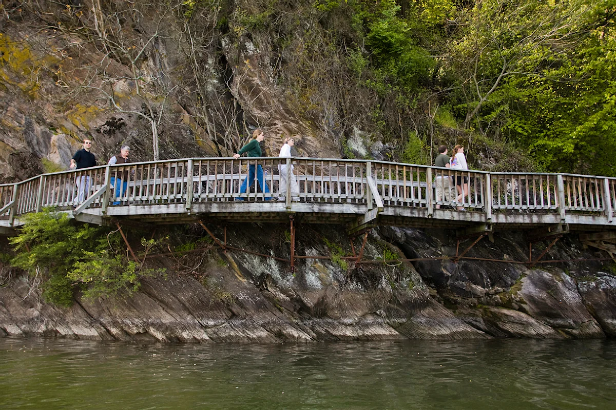 urban-hikes-ijams-boardwalk-tennessee
