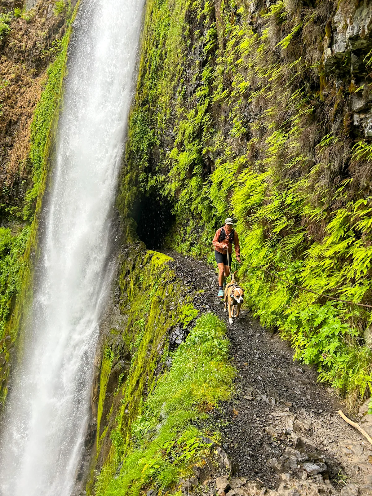 ling-oregon-parks-road-trip-tunnel-falls-2