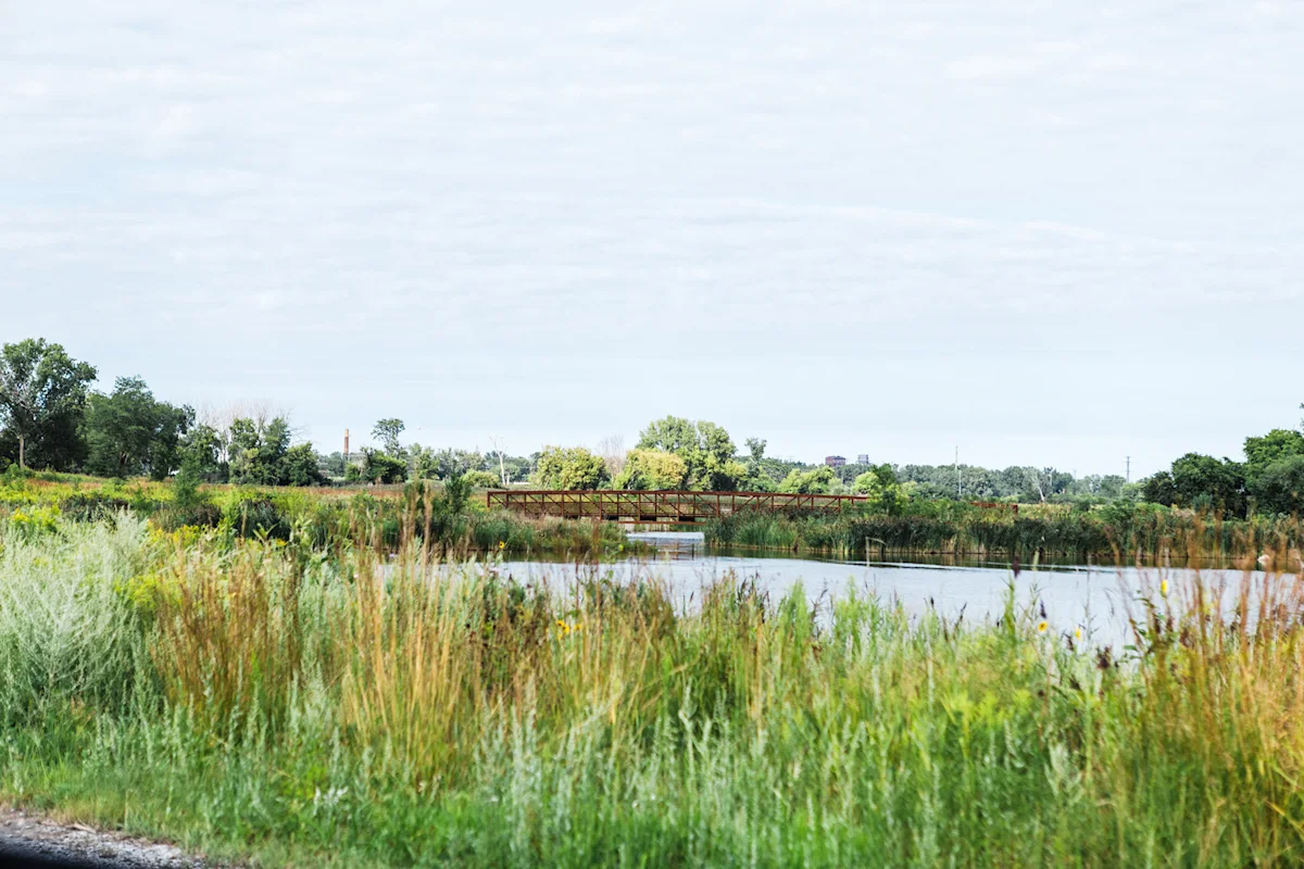 gupta-chicago-outerbelt-guide-big-marsh