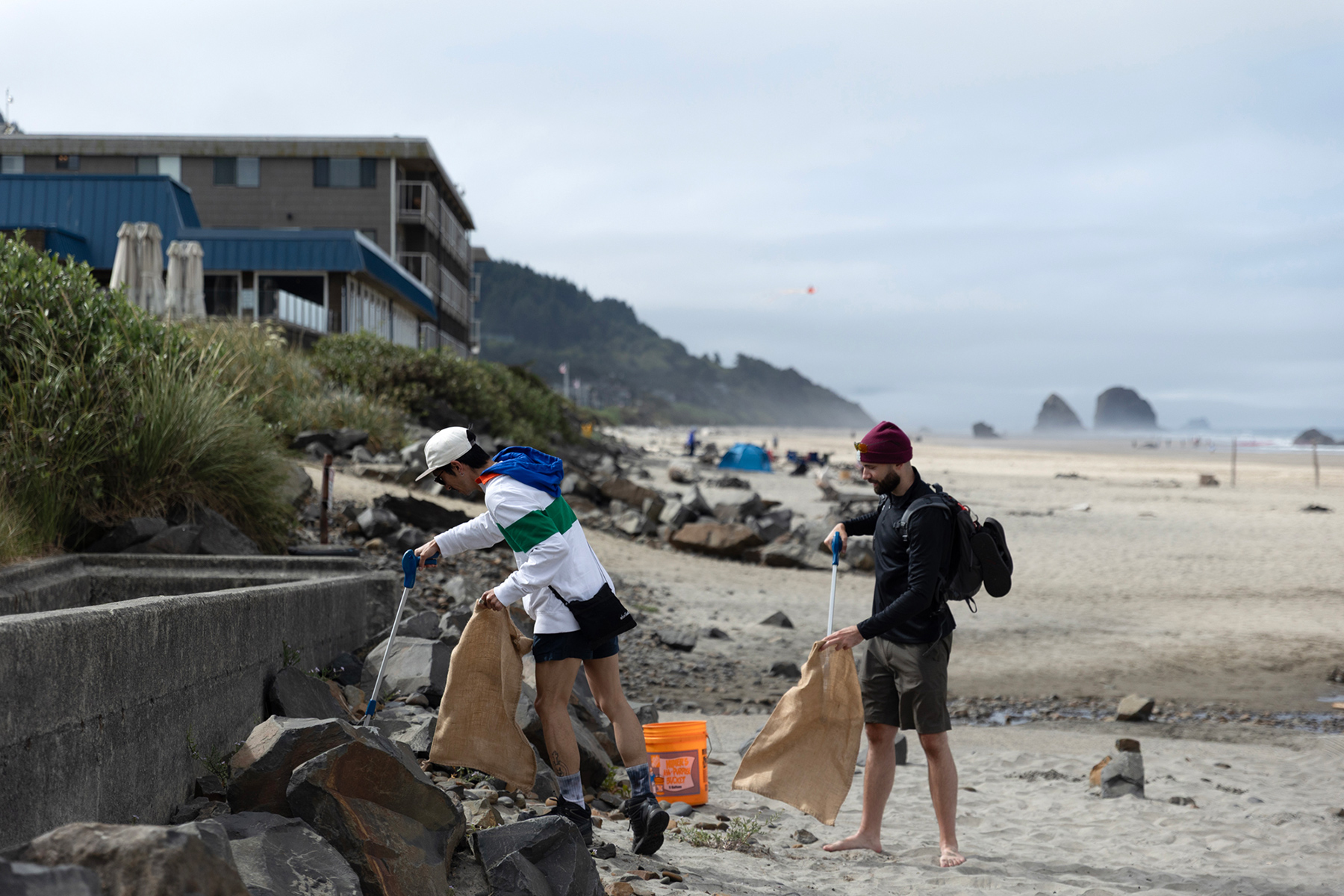 How Cannabis Brand Wyld Is Using Conservation to Rebuild Mother Earth