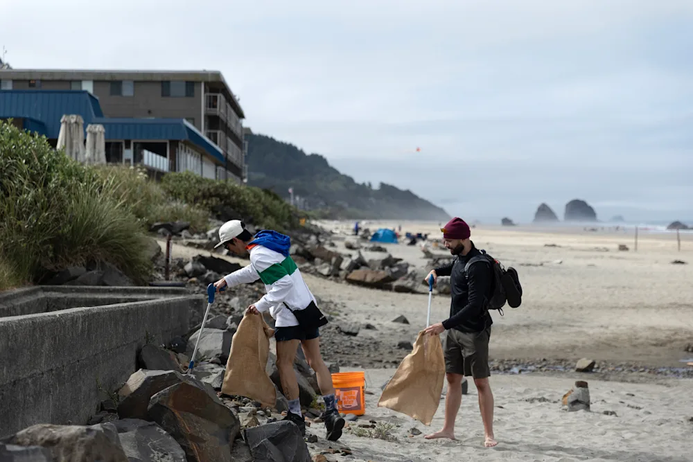 How Cannabis Brand Wyld Is Using Conservation to Rebuild Mother Earth