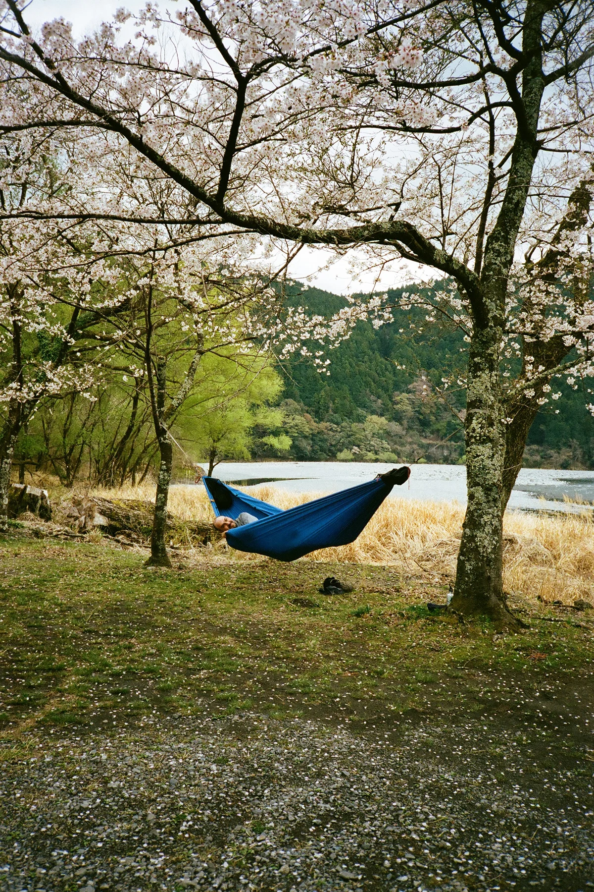 colleen-hammond-katsuo-trail-guide-hammock-vert