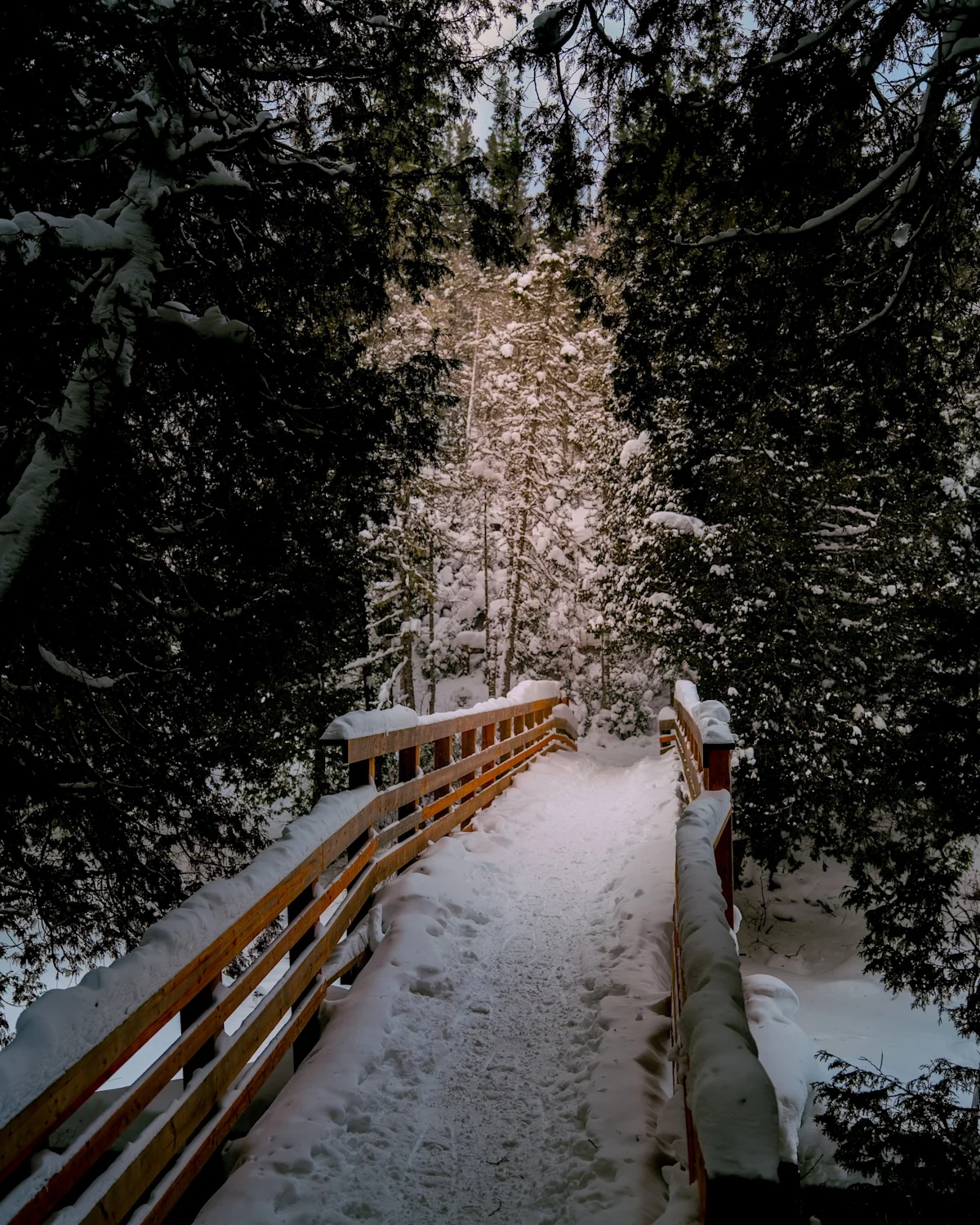 miguel-mcsongwe-chic-chocs-winter-adventures-nordic-track
