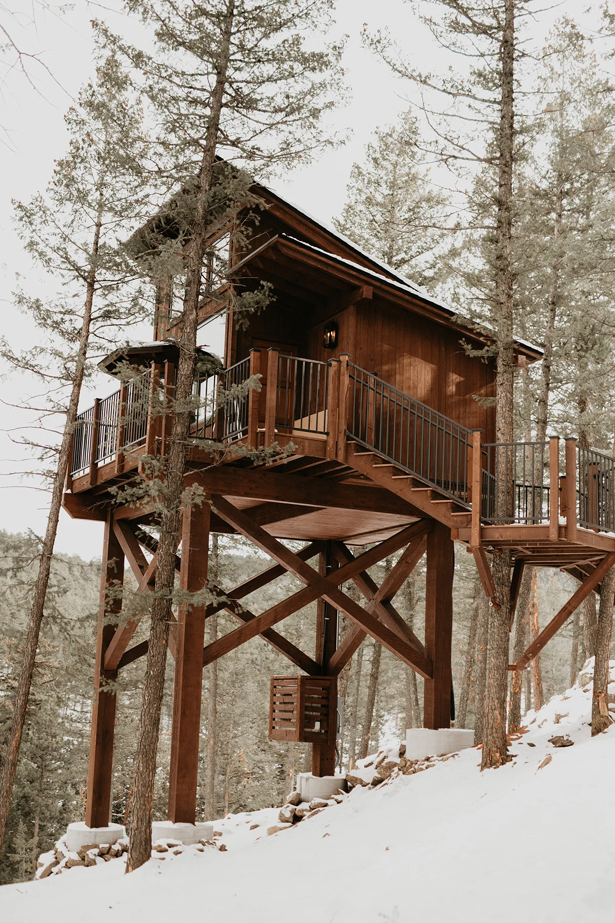 Kate-Ivy-Juniper-Treehouse-exterior-winter-vertical
