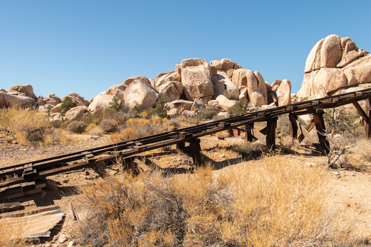 Martinez-Joshua-Tree-Wall-Street-Mill