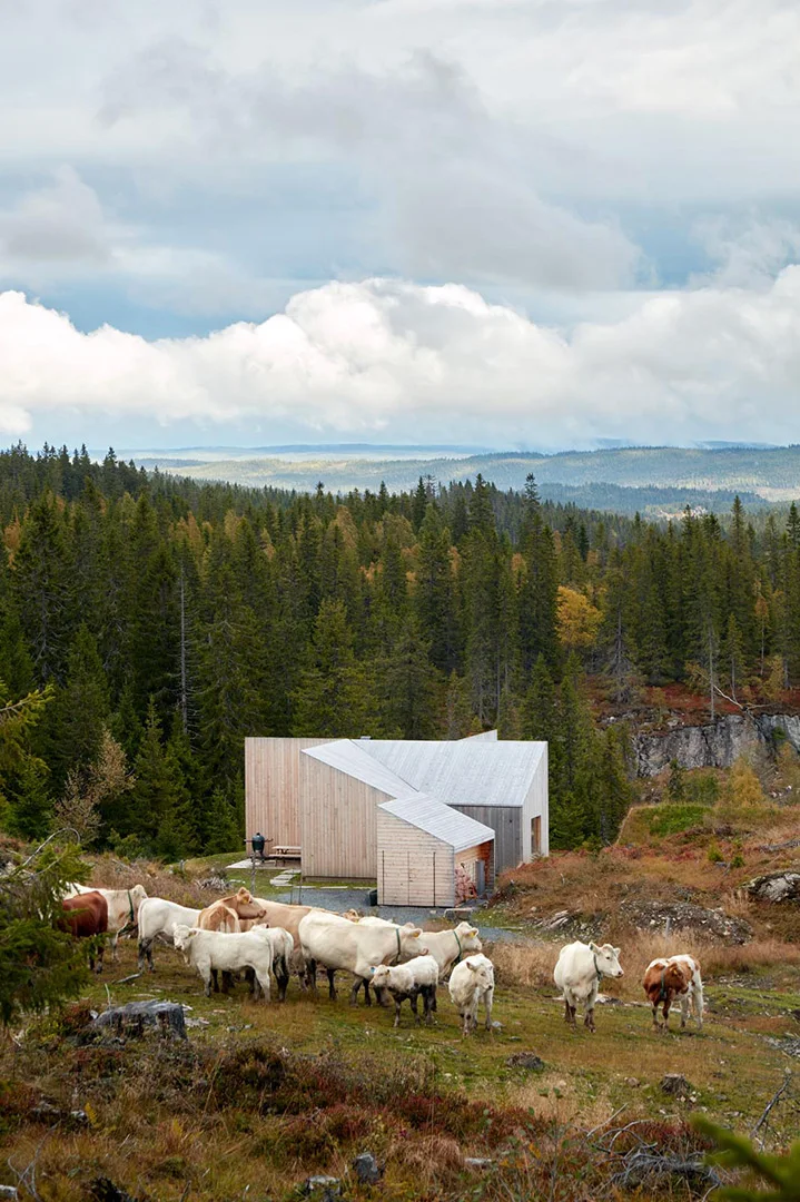 Mork-Ulnes-Mylla-Hytte-Cabin-Fieldmag-7