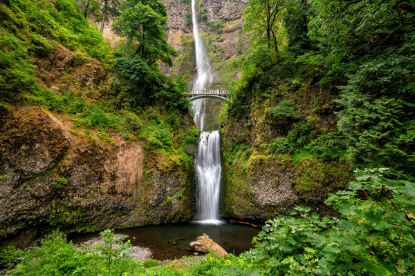 13 Great Day Hikes Near Portland, Oregon for a Quick Escape