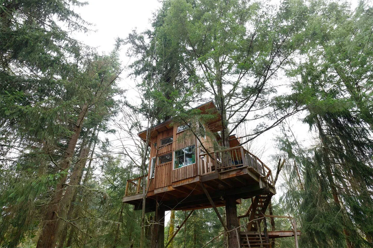 Washington-Treehouse-Squirrels-Nest-Exterior