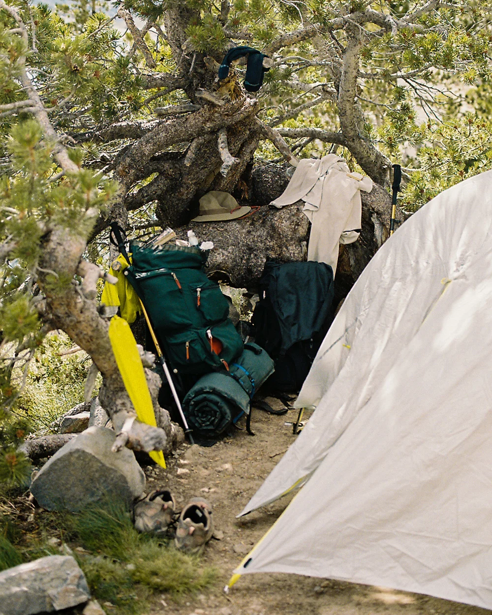 Bailey-Diemer-Ansel-Adams-Wilderness-Fieldmag-9