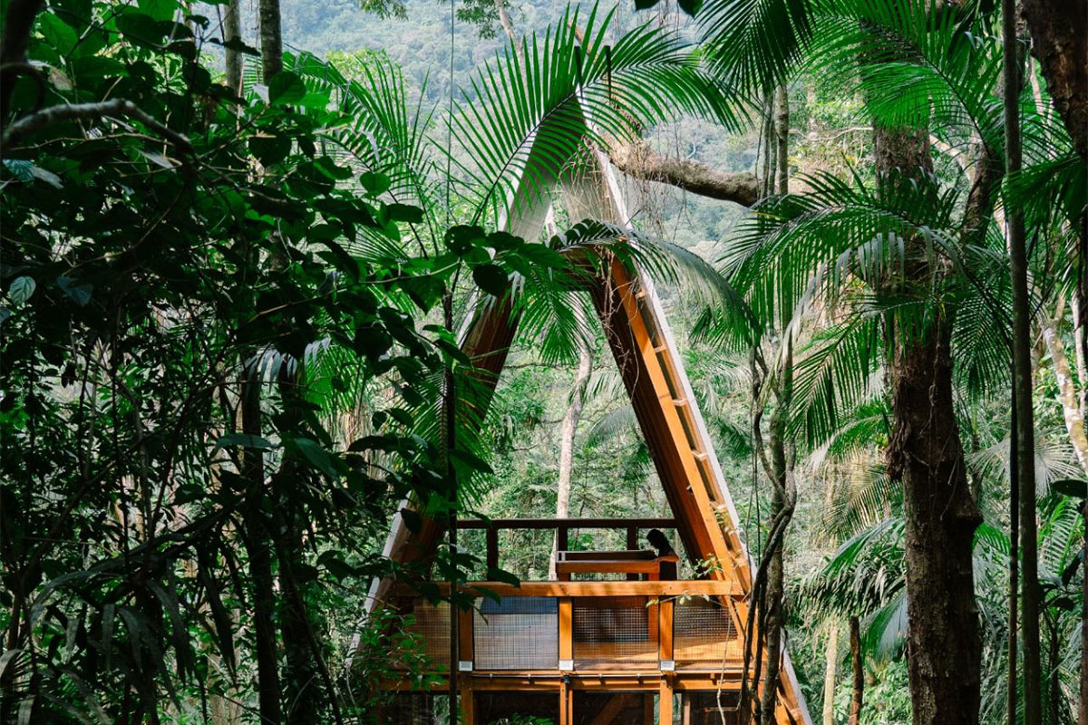 This Vibrant A-Frame Draws Inspiration From the Brazilian Jungle 