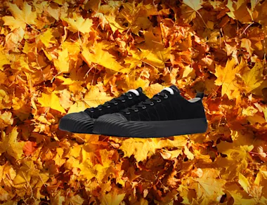 Limited Edition Ranger Lo S, $130
