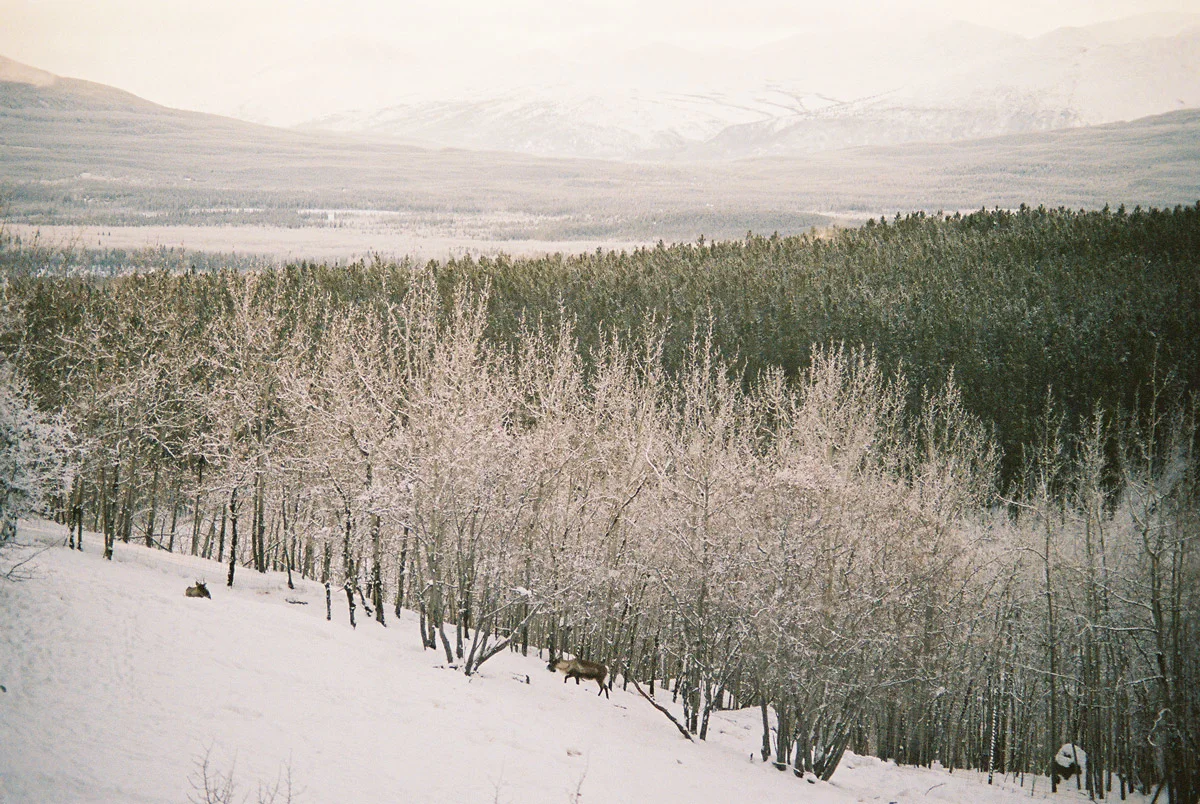 christie-fitzpatrick-shooting-film-in-snow-26