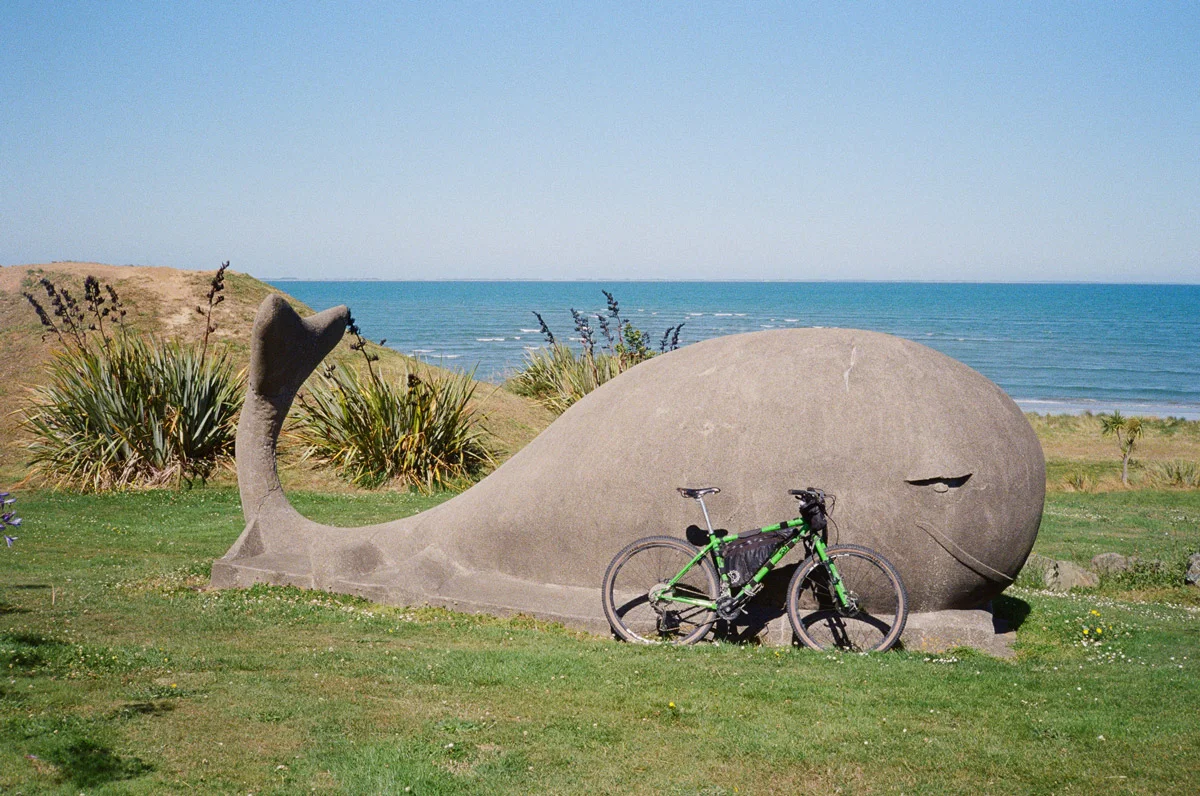 tom-powell-last-summer-new-zealand-whale