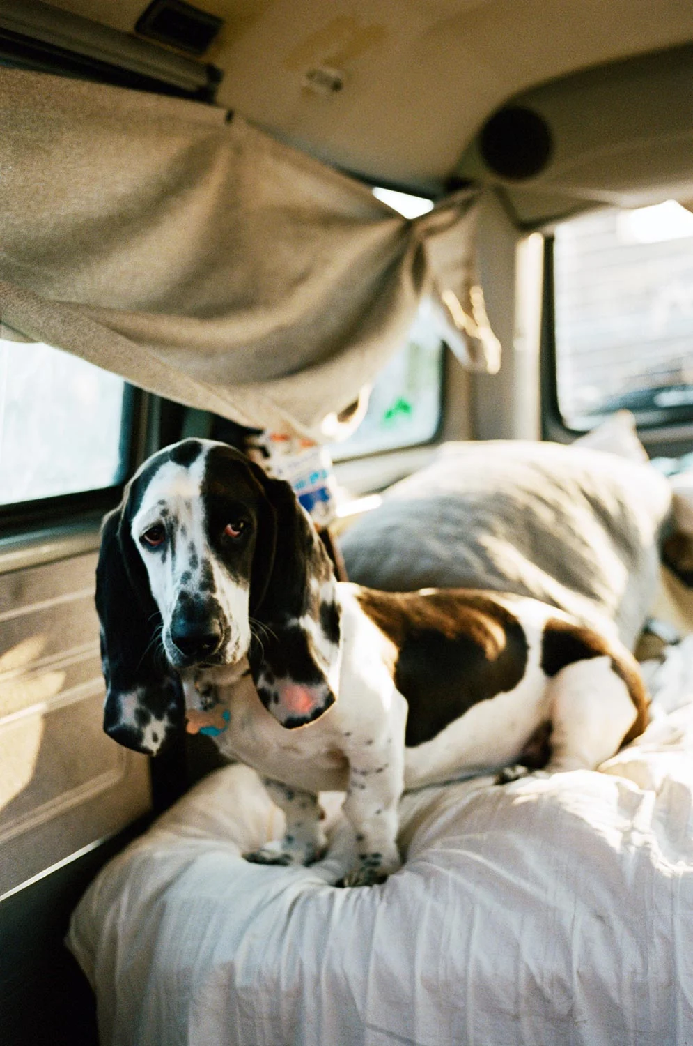 Michann-Vanlife-WY-12