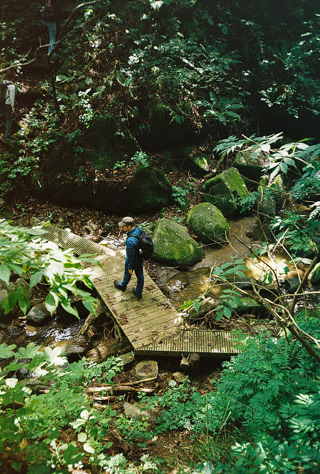 Michinoku-Coastal-Trail-Japan-12-Trail