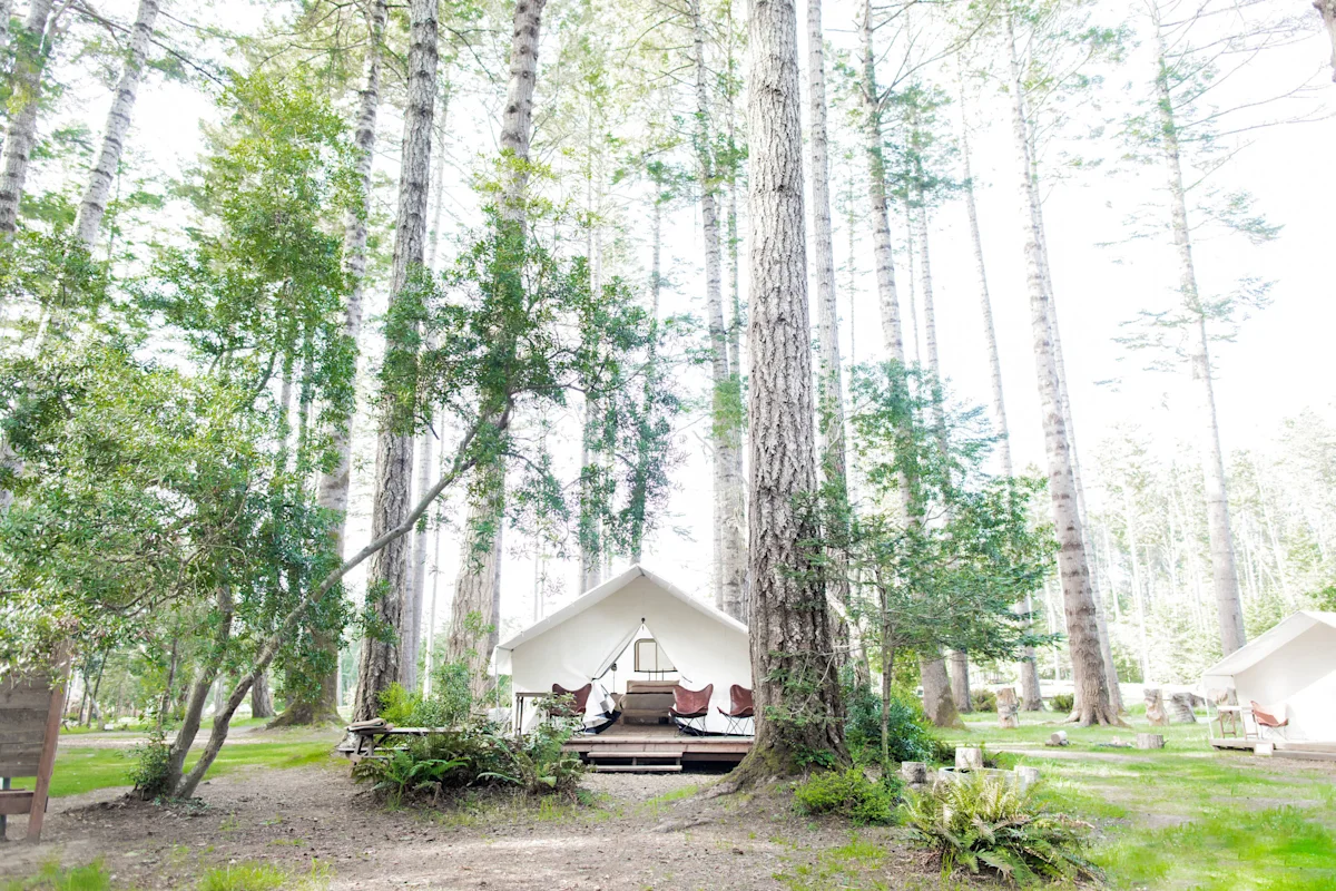 bay-area-glamping-mendocino-grove-exterior