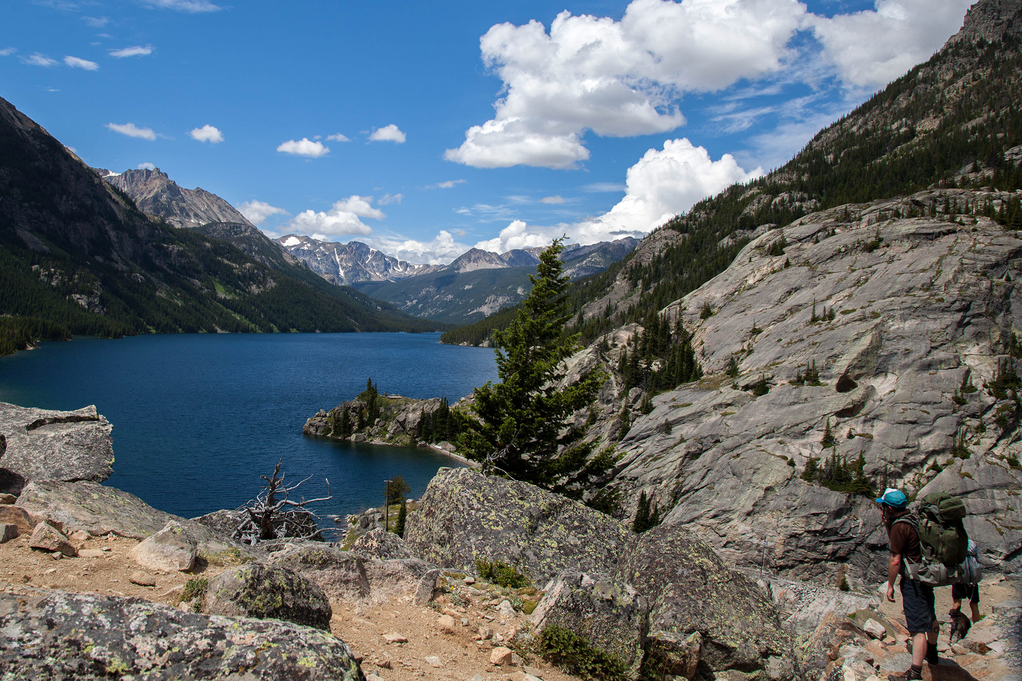 Into the Absaroka Beartooth Wilderness Field Mag