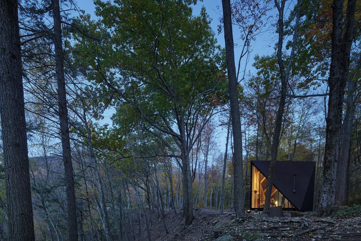 a45-big-cabin-ny-2