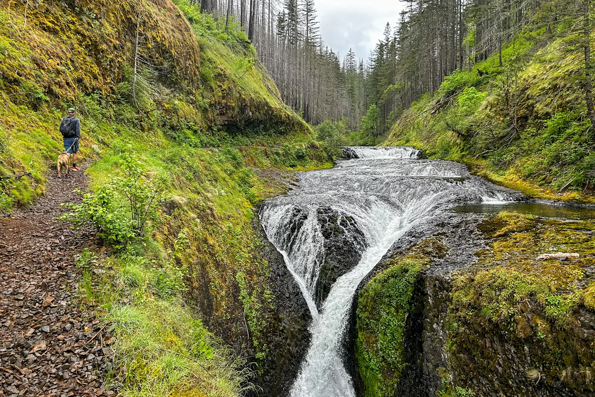 ling-oregon-parks-road-trip-twister-falls