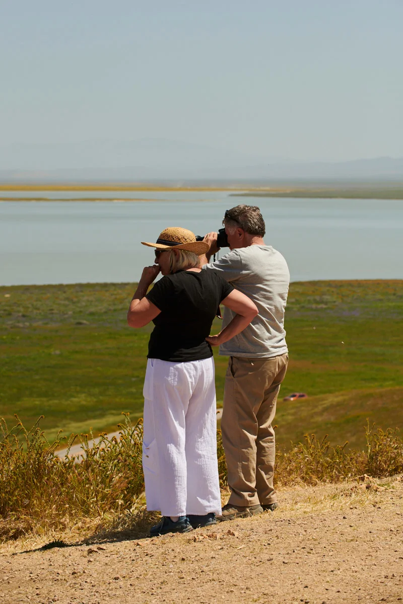linnea-bullion-carrizo-plain-superbloom-18