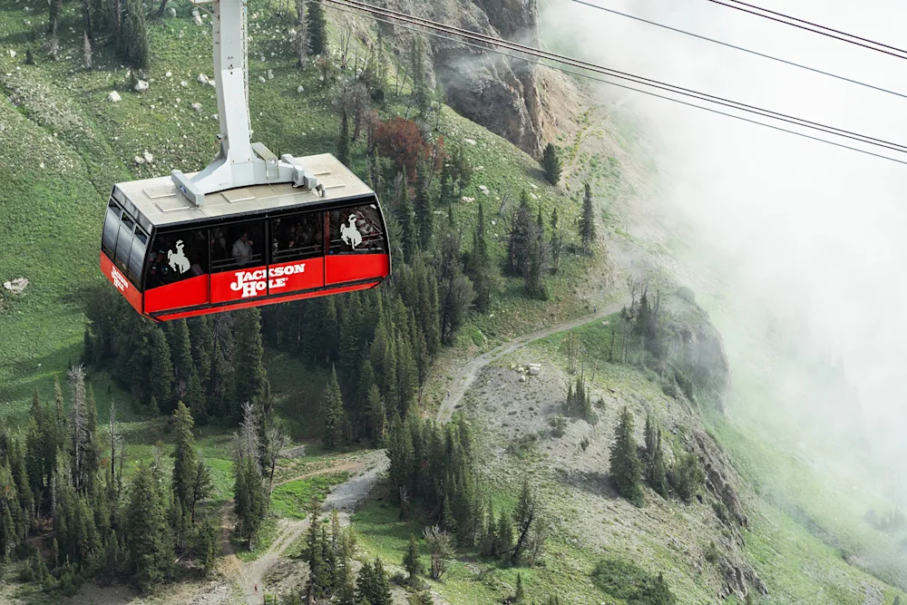 A Local's Guide to Visiting Jackson Hole This Summer