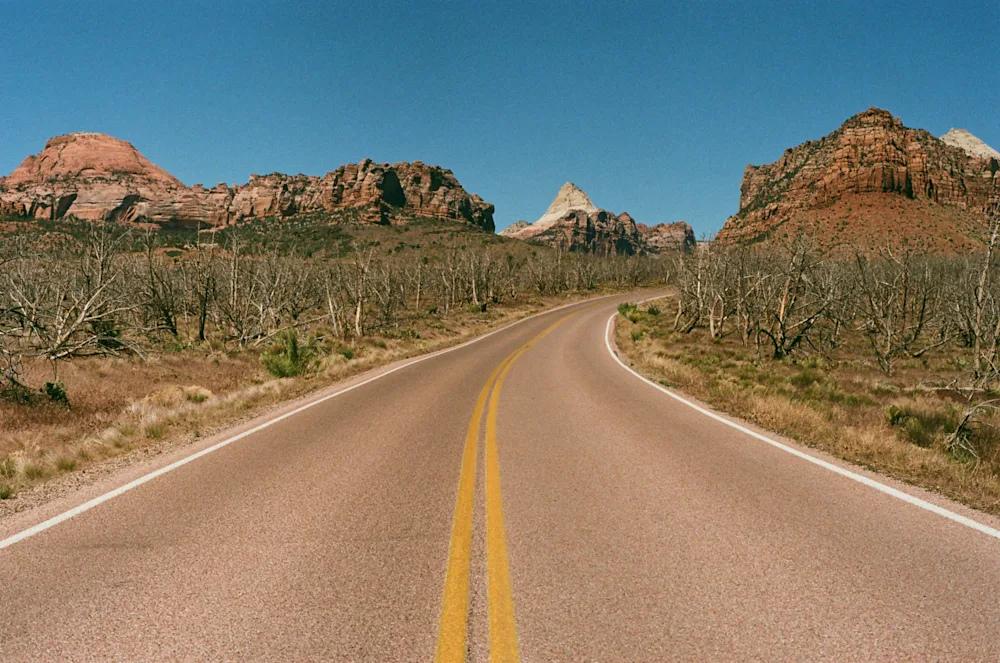 20 Film Photos from 4 Days of Hiking in Zion National Park