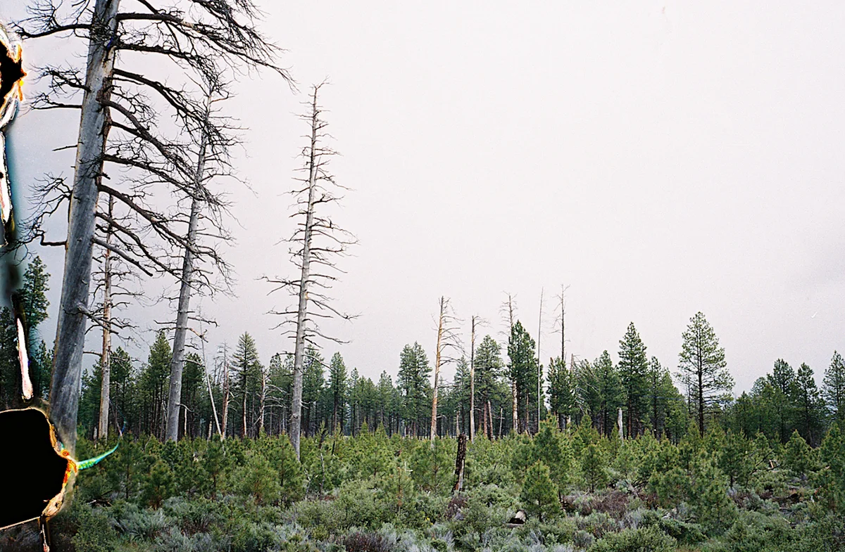 Oregon-Outback-Trail-34